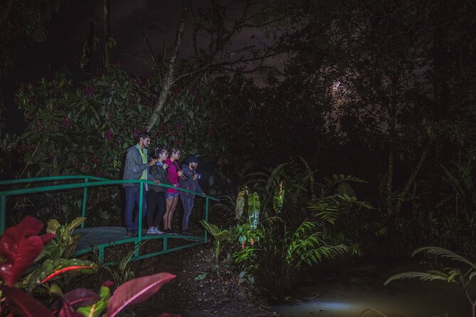 Ecogarden Arenal Night Walk - Key points to know before you book