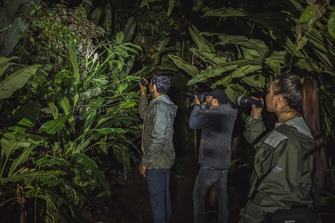 Ecogarden Arenal Night Walk - Why Ecogarden Arenal works well after dark