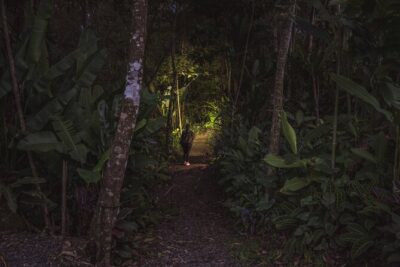 Ecogarden Arenal Night Walk