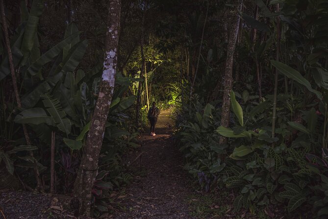 Ecogarden Arenal Night Walk - The 6 pm start sets the mood
