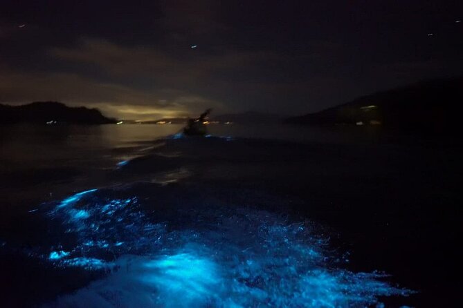 Eddy's Bioluminescence Reserve in Punta Cuchillos - Key points to know before you go