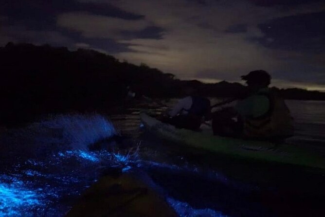 Eddy's Bioluminescence Reserve in Punta Cuchillos - Practical details that affect the evening