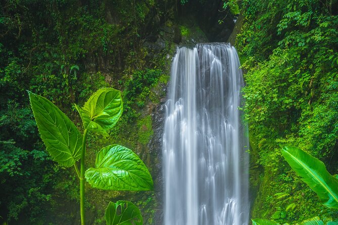 El Tigre Waterfalls Hiking Tour with Lunch and Nature Guide - Key points to know before you book