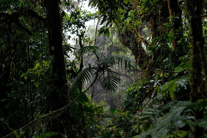 El Tigre Waterfalls Hiking Tour with Lunch and Nature Guide - Why El Tigre feels different from a simple waterfall walk