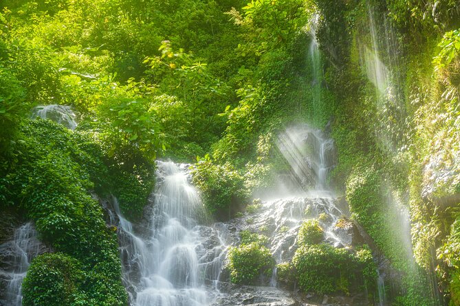 El Tigre Waterfalls Hiking Tour with Lunch and Nature Guide - The optional bike zip line