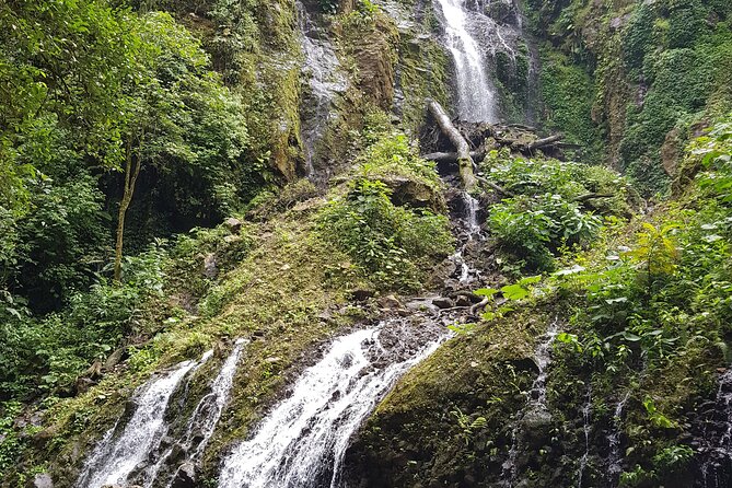 El Tigre Waterfalls Hiking Tour with Lunch and Nature Guide - The 7 a.m. start and what it means