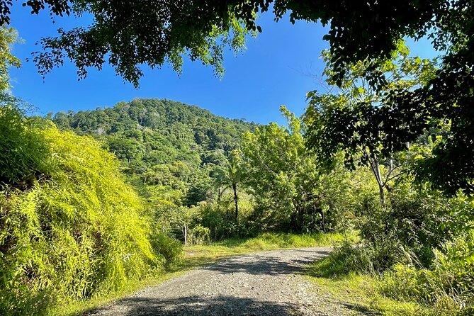 Esquipulas Rainforest - Private Birding - Fully Customizable Tour - Why this Quepos birding tour is worth the early alarm