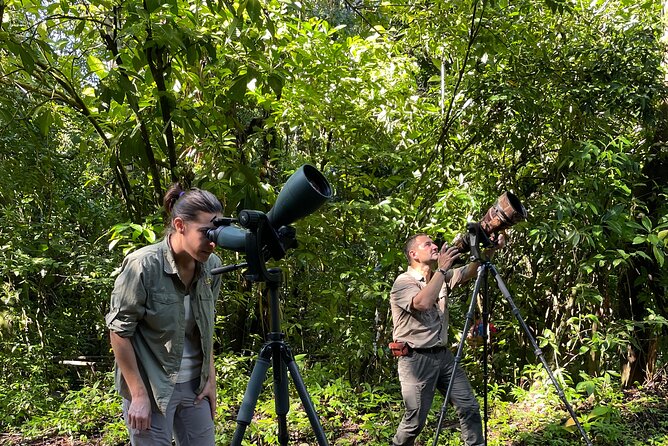 Esquipulas Rainforest - Private Birding - Fully Customizable Tour - Searching the Esquipulas rainforest by habitat