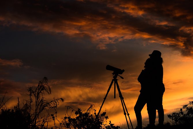 EXCLUSIVE Night Tour with Night Vision- small groups 8 people max - Key points at a glance