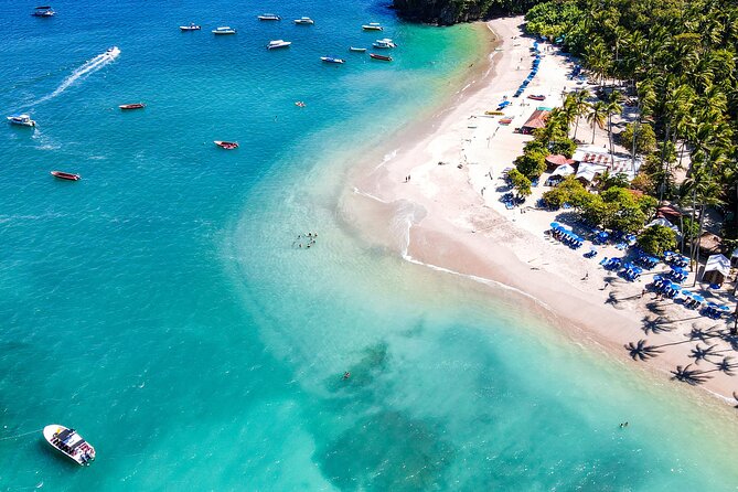 From Puntarenas: Turtle Island Day Tour - Key points to know before booking