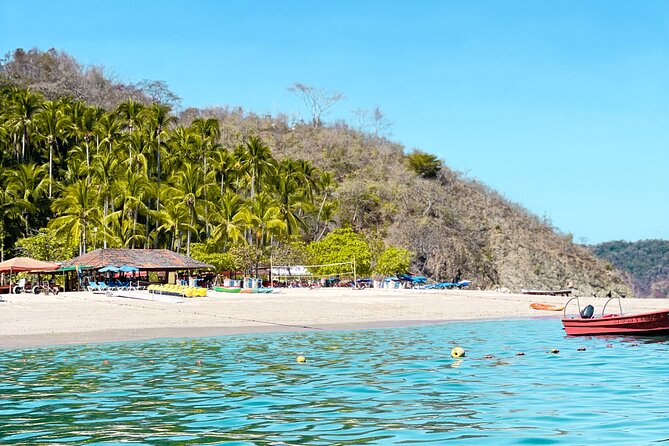 From Puntarenas: Turtle Island Day Tour - Should you book the Puntarenas Turtle Island tour?
