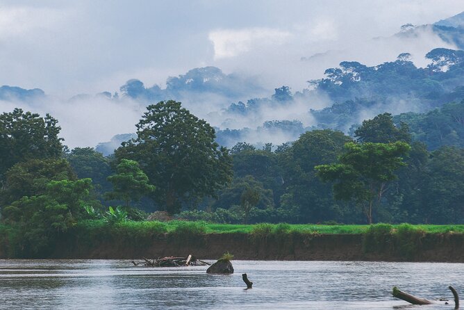 From San José: Carara National Park and Tárcoles River Tour - Cruising the Tarcoles River and mangrove mouth