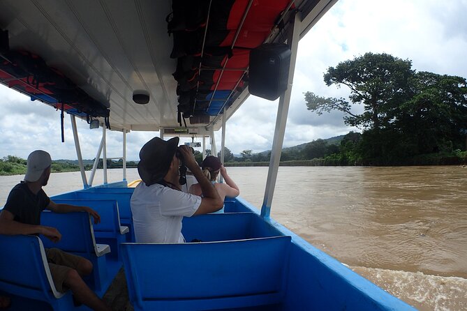 From San José: Carara National Park and Tárcoles River Tour - Walking beneath Carara’s 40-meter canopy