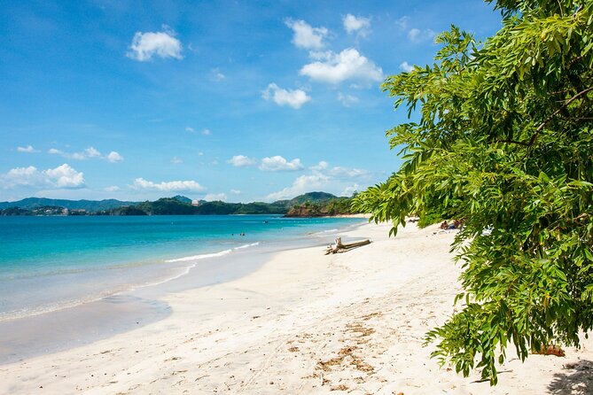 Full-Day Adventure to Manuel Antonio National Park from San Jose - Key points to know before booking