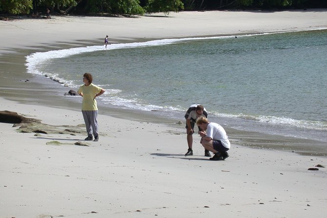Full-Day Adventure to Manuel Antonio National Park from San Jose - Why Manuel Antonio makes a demanding day trip