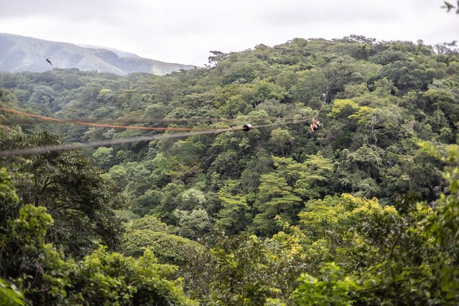 Full Day Adventure Tour - Why this Buena Vista day is more than an adventure park