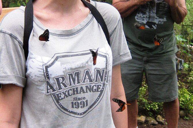 Guided Butterfly Conservatory Tour in Costa Rica - Getting to Upper El Castillo from La Fortuna