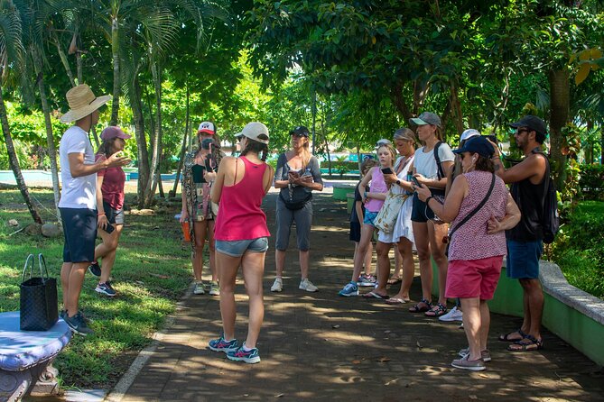 Guided Walking Street Art & Graffiti Tour in Jaco Costa Rica - Is $39 a fair price?