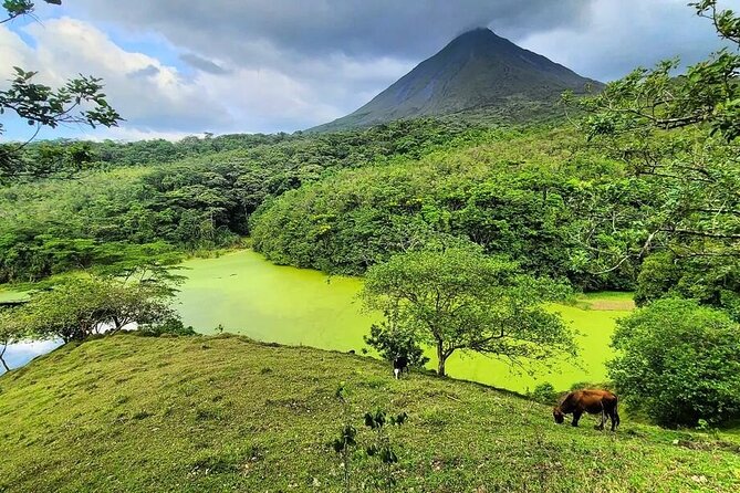 Half Day Adventure from Arenal -2 tours in 1, 4 options to choose - Why this Arenal combo works well