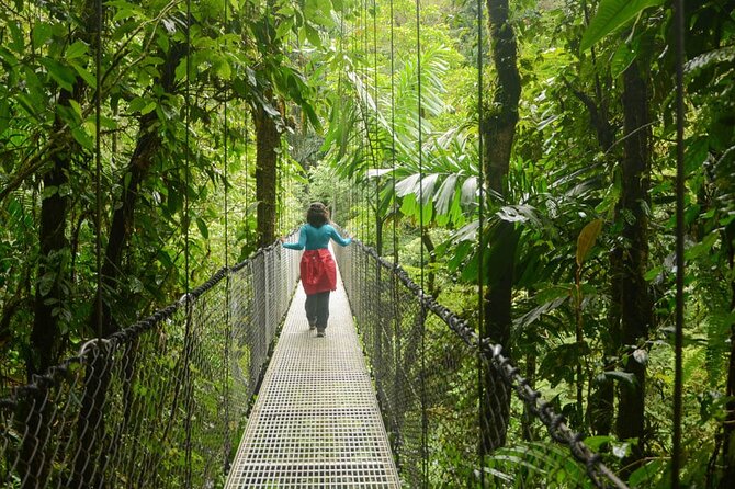 Half Day Adventure from Arenal -2 tours in 1, 4 options to choose - What the guides add