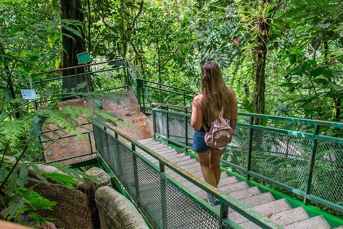 Half Day Adventure from Arenal -2 tours in 1, 4 options to choose - Mirador El Silencio and the old lava flows