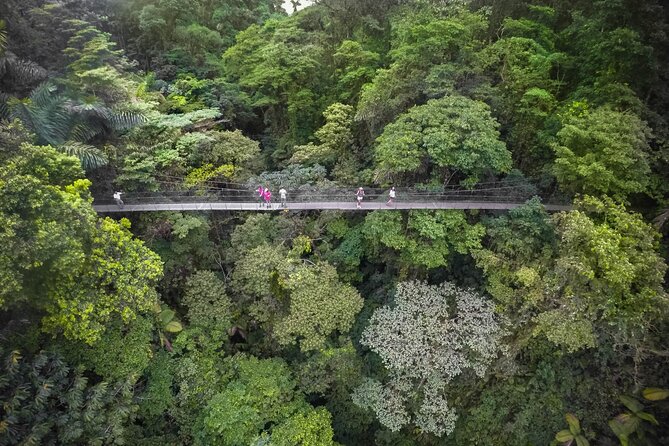 Half-Day Tour with Hanging Bridges and La Fortuna Waterfall - La Fortuna Waterfall and the 500-step return