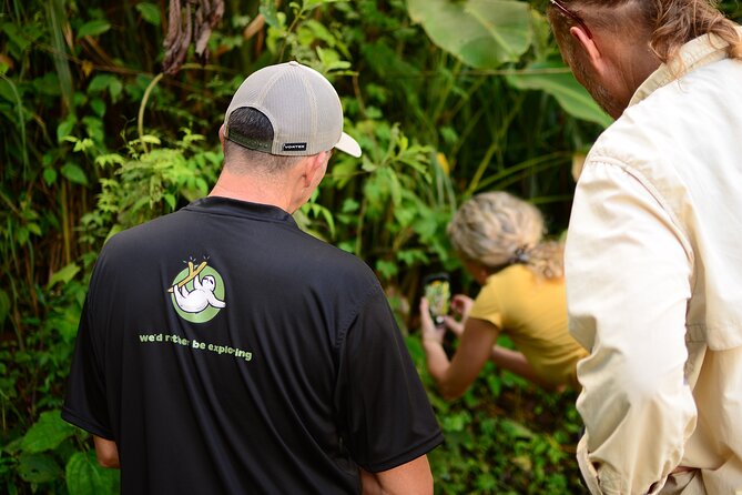Half-Day Tour with Hanging Bridges and La Fortuna Waterfall - A 7:00 a.m. start from La Fortuna