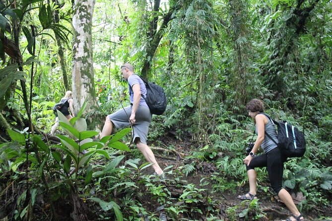 Hanging Bridges & Arenal Volcano with Lunch and Hotsprings - What the guide adds to the price