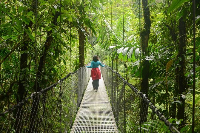 Hanging Bridges of Arenal – Guided Nature Walk with Nature - What you may see along the two-mile route