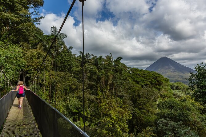 Hanging Bridges of Arenal – Guided Nature Walk with Nature - Is $85.88 a fair price?