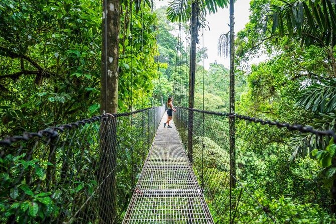 Hanging Bridges Walk in Arenal Volcano - The canopy view is the real attraction