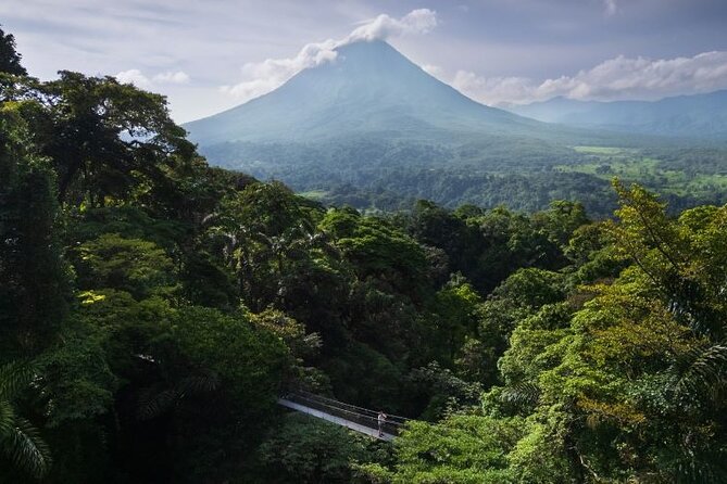 Hanging Bridges Walk in Arenal Volcano - $39 is fair if you use the park as a nature outing