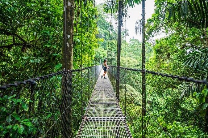 Hanging Bridges Walk in Arenal Volcano - The best time to go is early morning