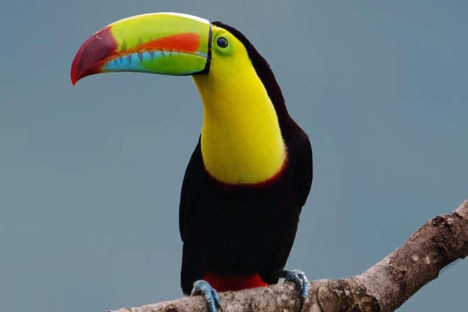 Hiking to Curi-Cancha Reserve - What makes Curi-Cancha worth your time