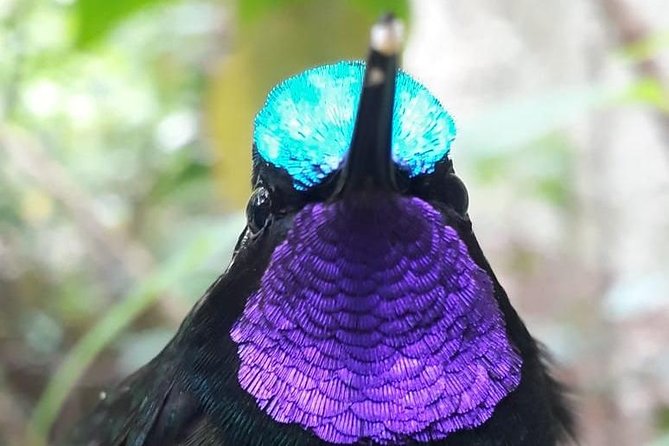 Hiking to Curi-Cancha Reserve - The meeting point near Monteverde’s cheese factory