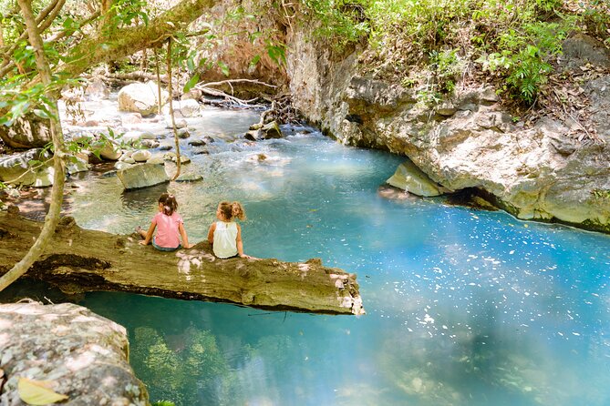 Hiking Tour of La Leona Waterfall with Lunch - The trail is shaded, but it is not easy