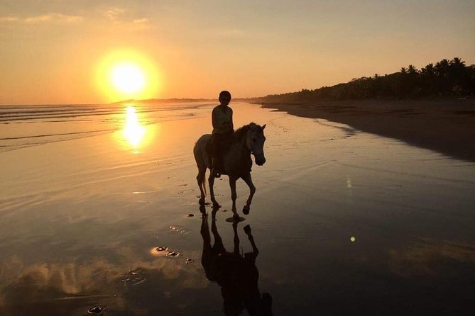 Horseback riding through the beaches of Esterillos near Jaco - Gentle horses make this a good first ride