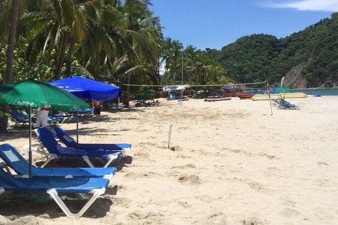 Isla Tortuga boat tour - from Paquera - Monkey Island and Gulf wildlife