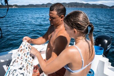 Isla Tortuga boat tour – from Paquera