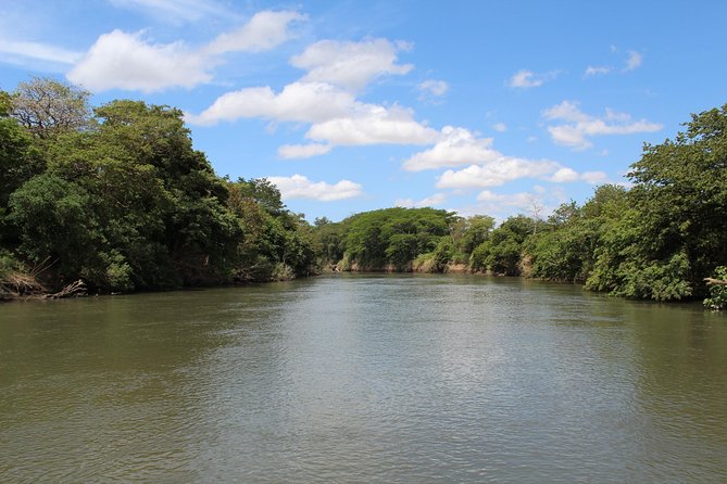 Jungle Cruise at Palo Verde National Park - Who should book this Guanacaste cruise?