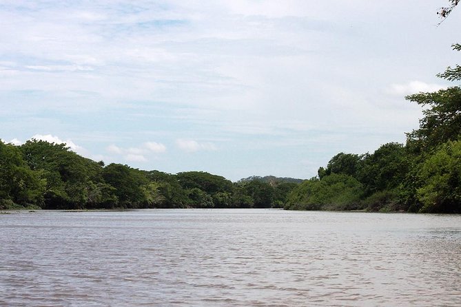 Jungle Cruise at Palo Verde National Park - Final call: a worthwhile inland day with realistic expectations