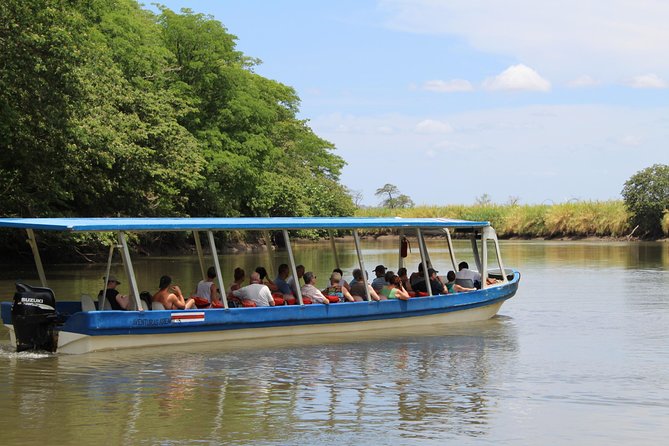 Jungle Cruise at Palo Verde National Park - Palo Verde National Park and the Tempisque River