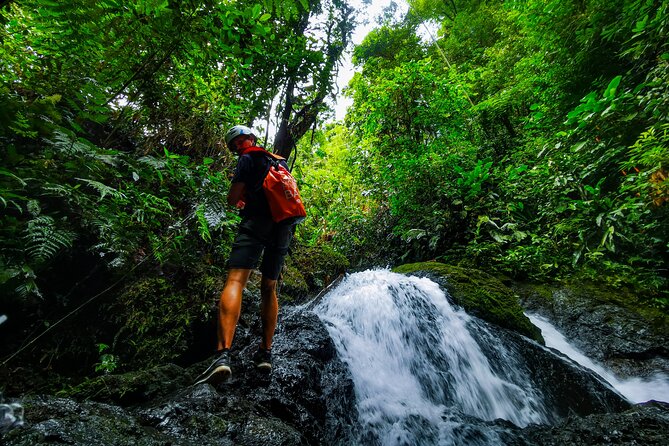 Jungle Hike with Canyoning and Rappelling in Drake Bay - Key points before you book
