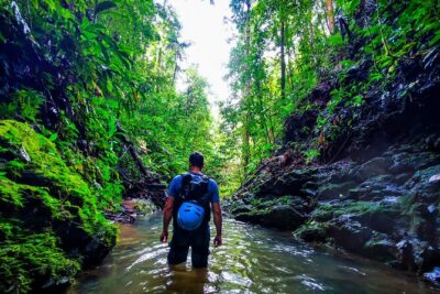 Jungle Hike with Canyoning and Rappelling in Drake Bay
