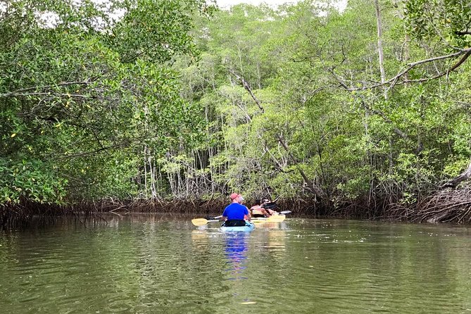 Kayak to the Heart of the National Park - Leaving the kayaks for the forest walk