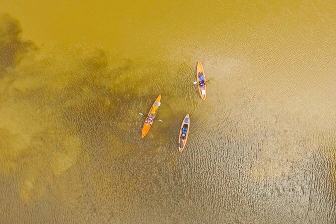 Kayak Tour - Why Tortuguero works so well from a kayak