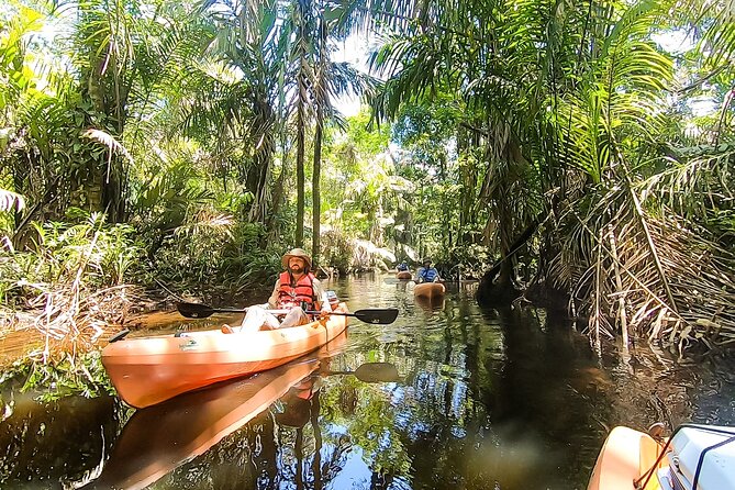 Kayak Tour - The wildlife you may see along the canals