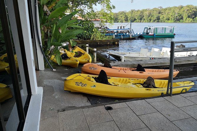 Kayak Tour - What the 6:00 am start gives you