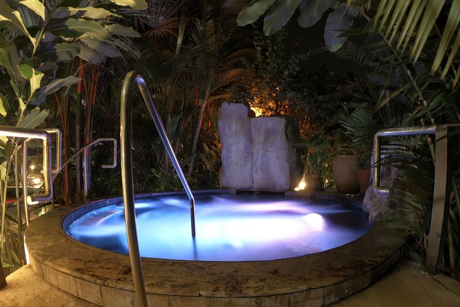 La Fortuna: Mineral Hot Springs Full Day Ticket - Lunch, dinner, drinks, and the swim-up bar