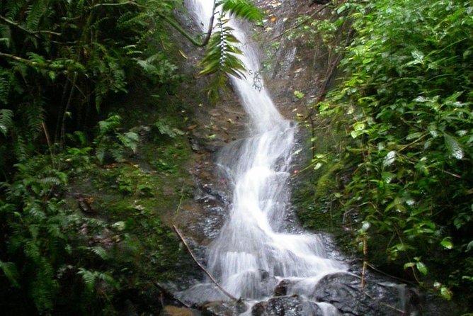 La Paz Waterfalls - Lunch in the rainforest